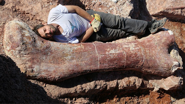 Biggest dinosaur ever discovered